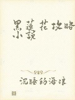 黑莲花攻略手册小说