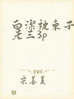 白洁被东子老二老三3p