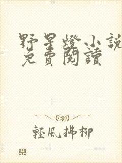 野星灯小说全文免费阅读