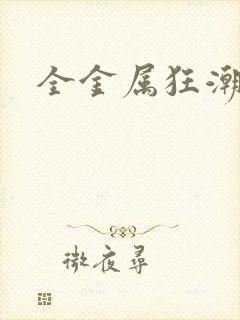 全金属狂潮小说