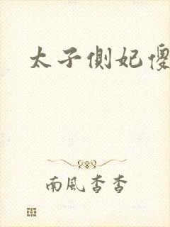 太子侧妃傻乎乎