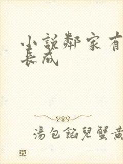 小说邻家有女初长成