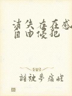 消失存在感消失自由侵犯