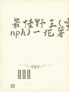 最佳野王(电竞nph)一坨薯饼