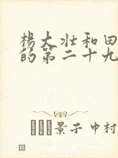 杨大壮和田桂花的第二十九