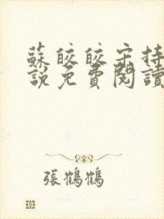 苏皎皎宋持的小说免费阅读