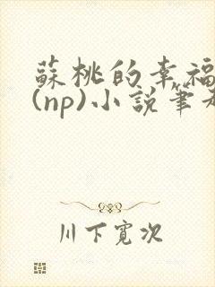 苏桃的幸福生活(np)小说笔趣阁