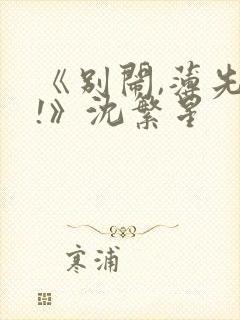 《别闹,薄先生!》沈繁星