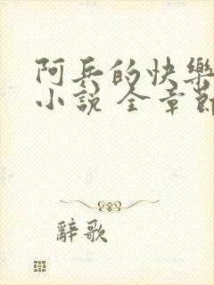 阿兵的快乐生活小说 全章节阅读免费