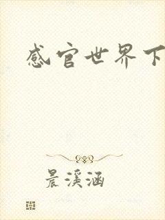 感官世界下载