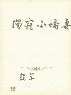 独宠小娇妻