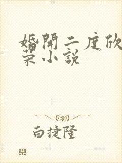 婚开二度欣欣向荣小说