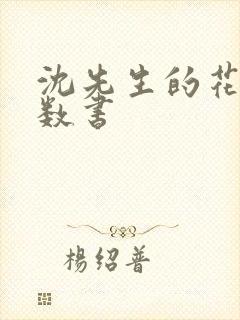 沈先生的花式调数书