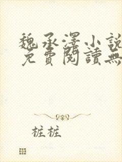 魏承泽小说全文免费阅读无弹窗笔趣