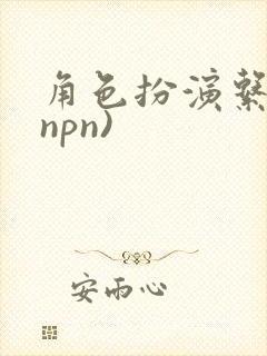 角色扮演系统(npn)