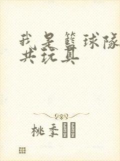 我是篮球队的公共玩具