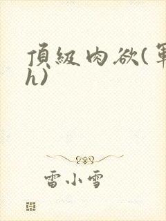 顶级肉欲(军高h)