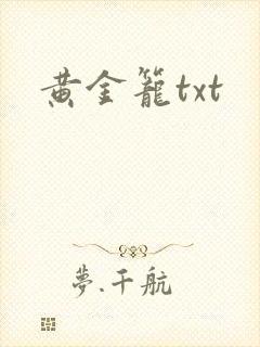 黄金笼txt