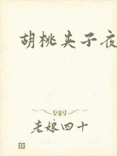 胡桃夹子夜未眠