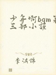 少年啊bgm第三部小说