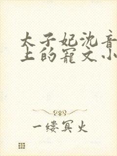 太子妃沈音和皇上的宠文小说