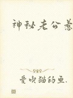 神秘老公惹不起