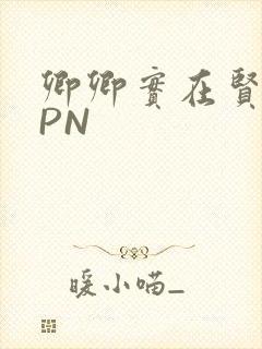 卿卿实在贤良NPN