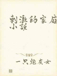 刺激的家庭乱仑小说