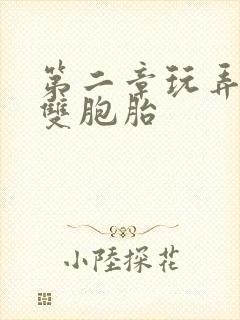 第二章玩弄校花双胞胎