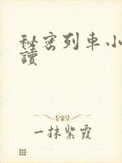 秘密列车小说阅读