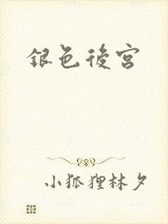 银色后宫