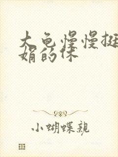 大龟慢慢挺进张娟的休