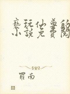 亵玩仙尊的道侣小说免费阅读