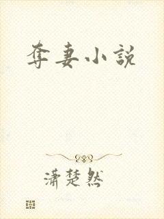 夺妻小说