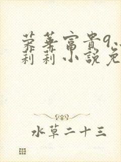 荣华富贵9小王莉莉小说免费阅读