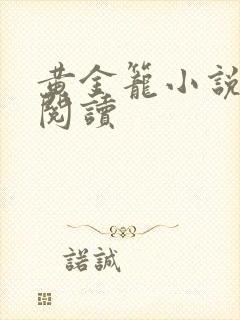 黄金笼小说免费阅读封面