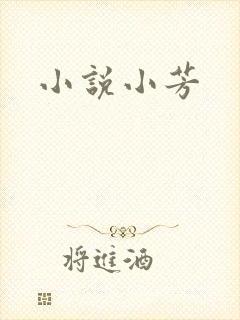 小说小芳