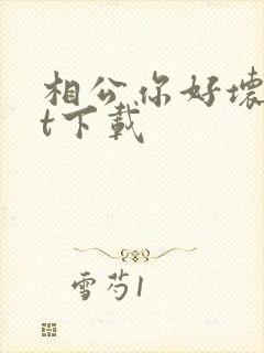 相公你好坏txt下载