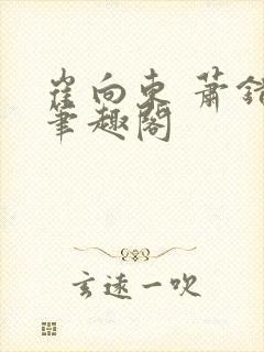 崔向东 萧错 笔趣阁