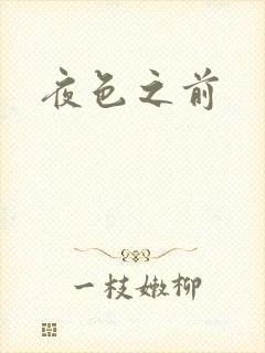 夜色之前