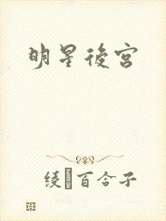 明星后宫