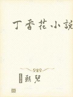 丁香花小说
