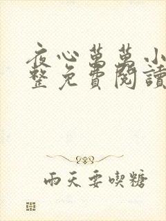 夜心万万小说完整免费阅读全文