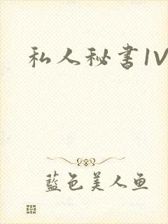 私人秘书1V1