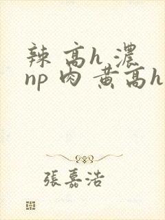 辣 高h 浓 np 肉 黄高h