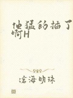 他猛的插了进去啊H