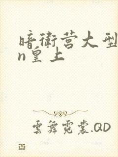 暗卫营大型hpn皇上