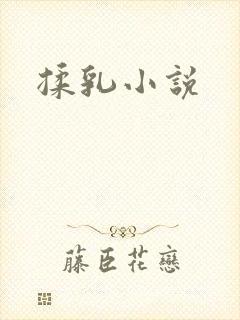 揉乳小说