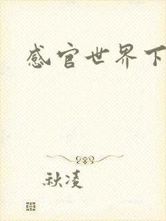 感官世界下载