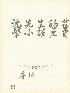 沈先生的花式教学小说免费